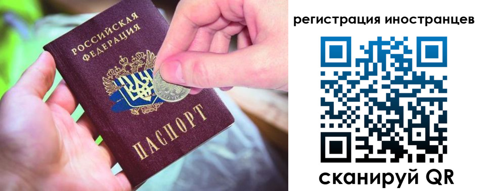 прописка для работы в Малой Вишере